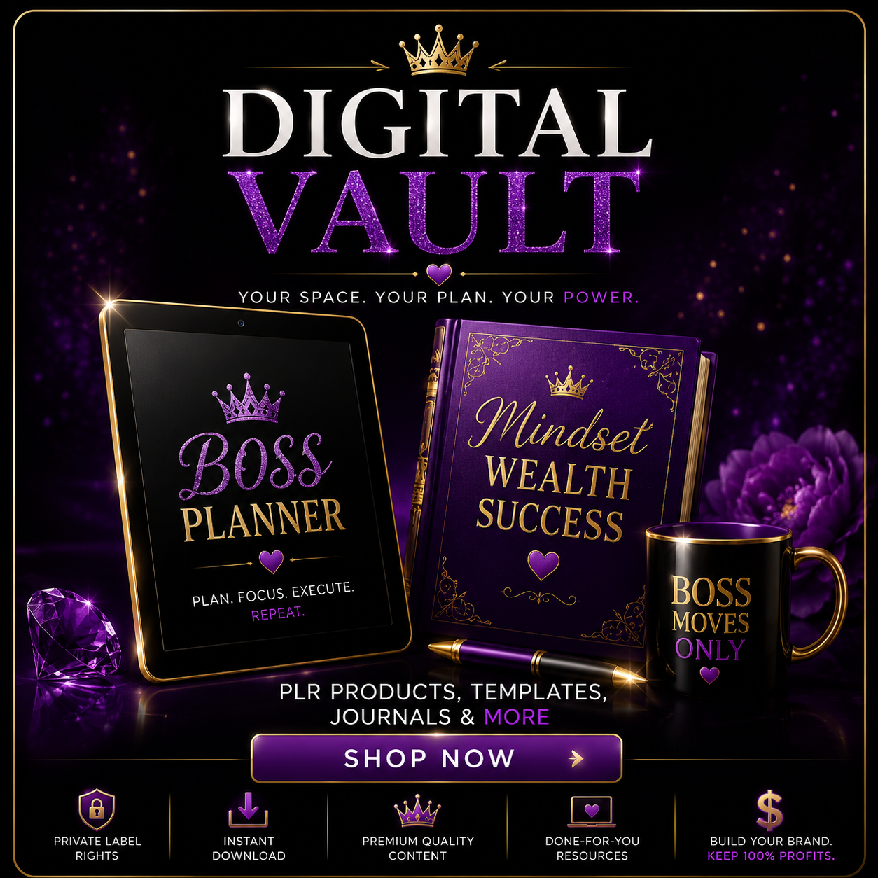 Digital Vault (Coming Soon)